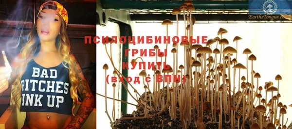 стаф Алзамай