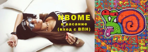 стаф Алзамай